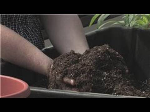 Container Gardening : Container Gardening Soil