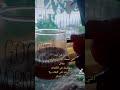 عموري يا عموري 