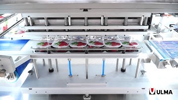 High production traysealers for fruit and vegetables