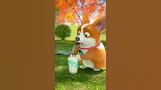 Flying MOCO 🐶 | The Straw Affair 吸管風波 | Flying MOCO Shorts 爆笑飛狗MOCO (2023)