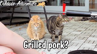 Grilling pork and taking my cats for a walk!【日本語CC】