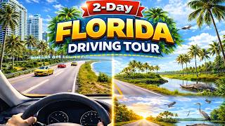 Relaxing Driving Florida 🌴 Miami to Everglades Scenic Road Trip with Palm Trees, Ocean Views