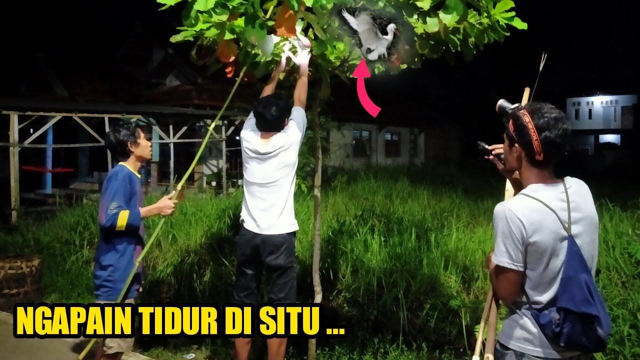 BERBURU DI MALAM HARI || ANEH ‼️ TIDURNYA MALAH DI SINI ...