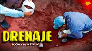 Antes de INSTALAR DRENAJE debes ver este VIDEO | ConstruProceso