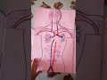 Excellent Creation | Body Parts | Paper Arts.