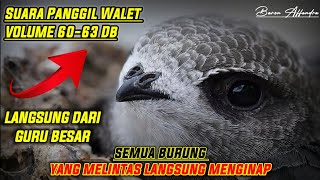 SP | SUARA PANGGIL WALET langsung Dari GURU BESAR | Link Dideskripsi