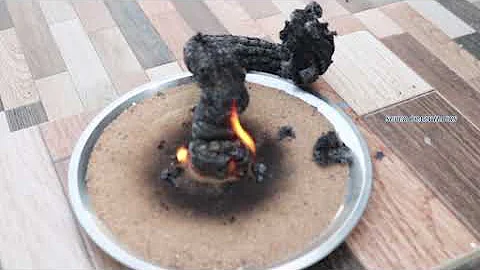 black snake making | Simple Science Experiments With Sugar & baking soda | Black Fire Snake