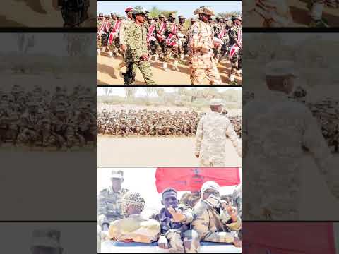 تحدي صمود فداء