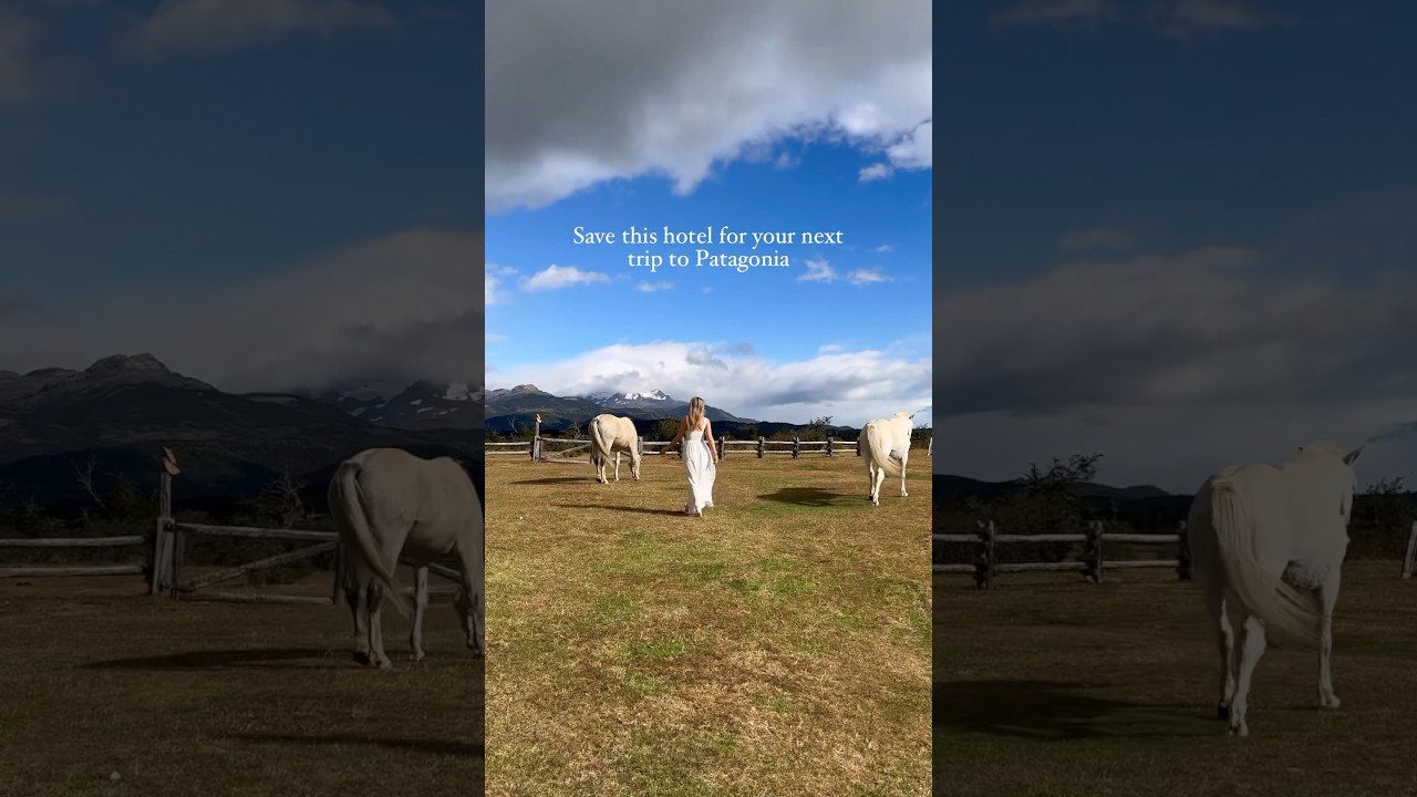 One of My Most Favorite Hotels I Have Ever Stayed In