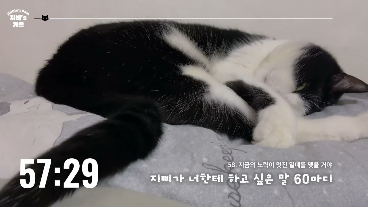 2026년에 자신한테 하고 싶은 말...? 지삐는 너한테 있어 🤍 | 한 시간 힐링 with 지삐