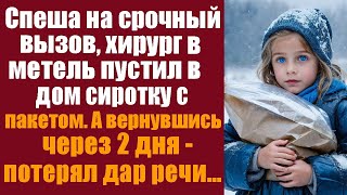 Спеша на срочный вызов, хирург в метель пустил в дом сиротку с пакетом, а вернувшись через два дня..