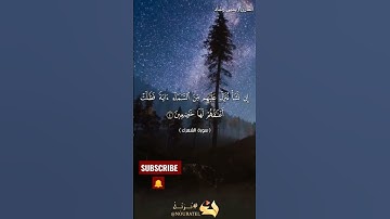تلاوة عطرة من سورة الشعراء بصوت القارئ يحيى رشاد quran #tiktok #قرآن #quraan #قرآن_بصوت_جميل