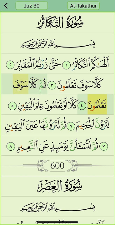 Surah At-Takathur by Mishary Rashid Alafasy | Juz 30 S 102 | Mishari | No:19 #quran #quranrecitation