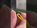 Stop Struggling with Loose Rubber Seals! #woodworking #shortvideo #shorts