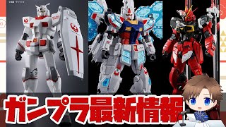 JAL ガンダム JAL×ガンダム HG ガンダム JAL オリジナルカラー Ver. - YAS的なモノ