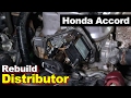 2002 Honda Accord Distributor Oring Gasket Seals