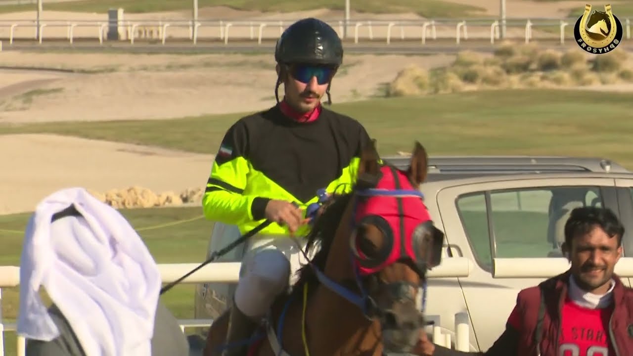 مهرجان قبيلة الرشايده( الثاني )الشوط( 1 )الجواد/سبع البواسل/ المالك/بدر متعب الشلاحي