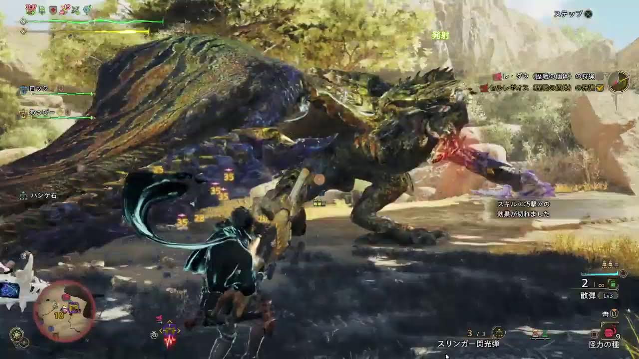 【モンハンワイルズ参加型】レダレギ護石周回