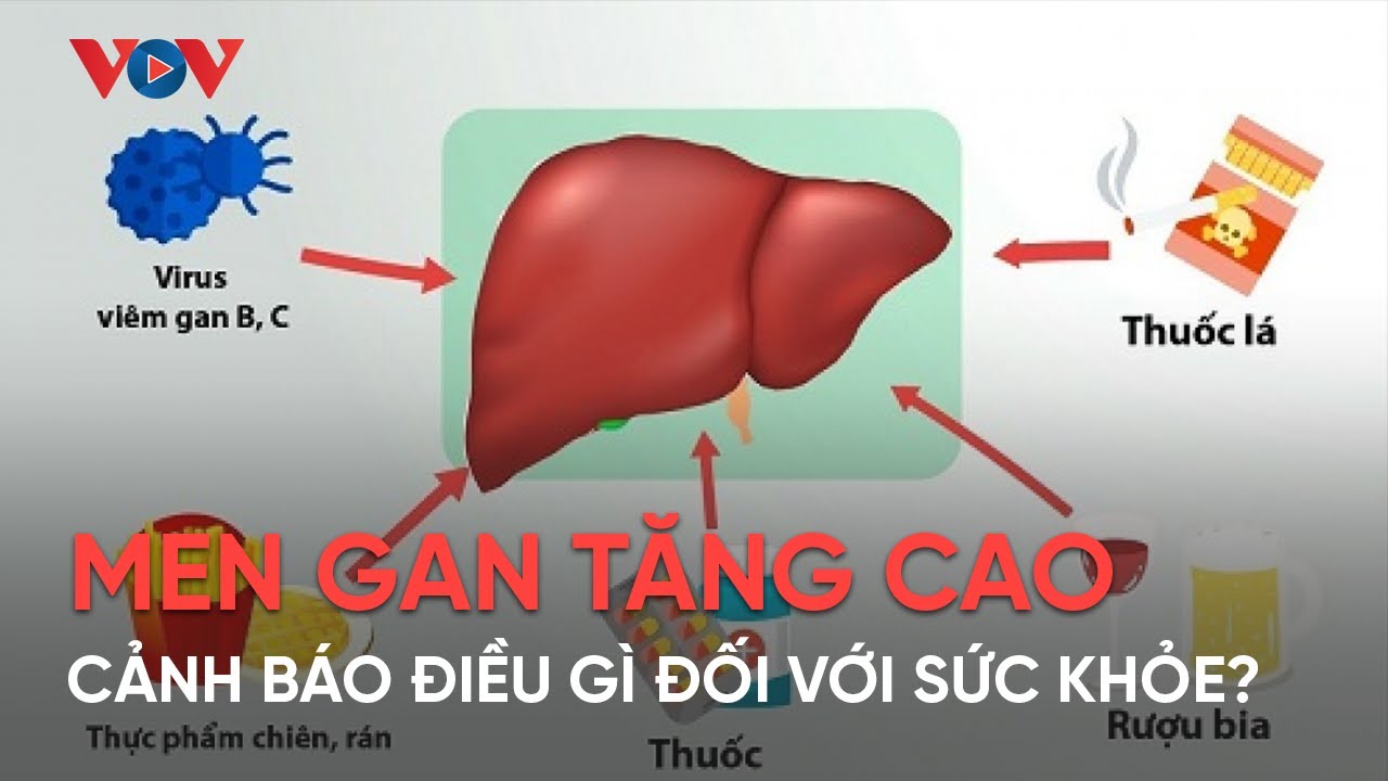 Men gan tăng cao cảnh báo điều gì đối với sức khỏe?