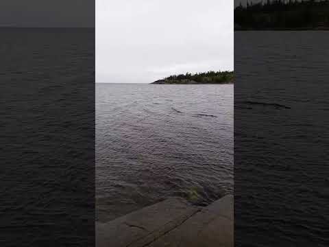 #белое море