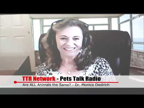 TTR Network - Pets Talk Radio