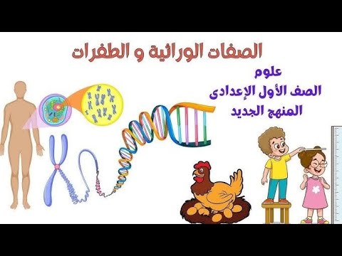 الصفات الوراثية والطفرات علوم اولى اعدادي 
