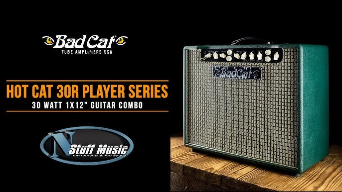 Bad Cat Hot Cat 30R USA Player Series 1x12 Combo Amplifier - Matt's Music  Center