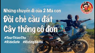 TourThienThu 140 I Phượt Đà Lạt cùng má I Săn mây tại Đồi Chè Cầu Đất I Cây Thông Cô Đơn