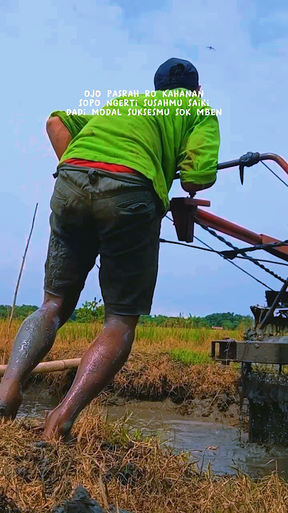 story' wa traktor sawah
