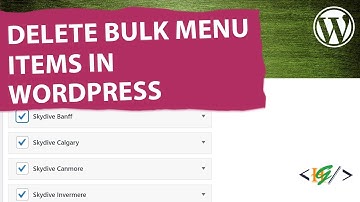 How to Delete Bulk Menu Items in WordPress | Remove Selected Items