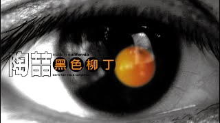 陶喆 David Tao - 黑色柳丁 [專輯週年影片] Black Tangerine Album Anniversaruy