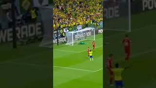 Edi̇t Brezi̇lya-Sirbi̇stan Irbistan