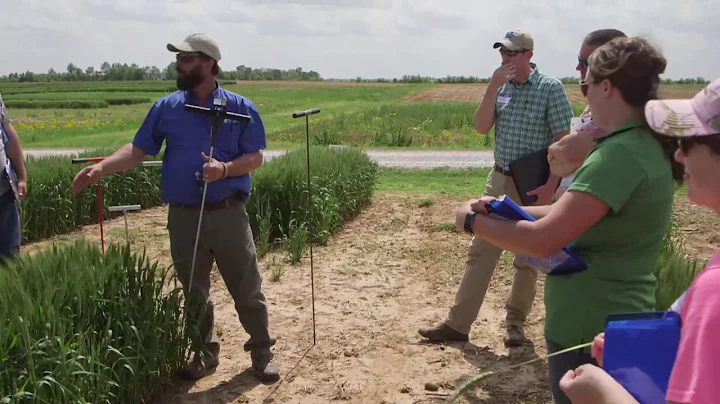 Wheat School - Edwin Ritchey: Soil Management Opti...