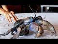 GIANT COCONUT CRAB Cooked Two Ways