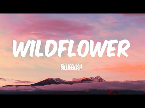 Billie Eilish WILDFLOWER Lyrics 
