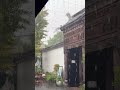 Rainy day vibes from an old courtyard #china #asmr