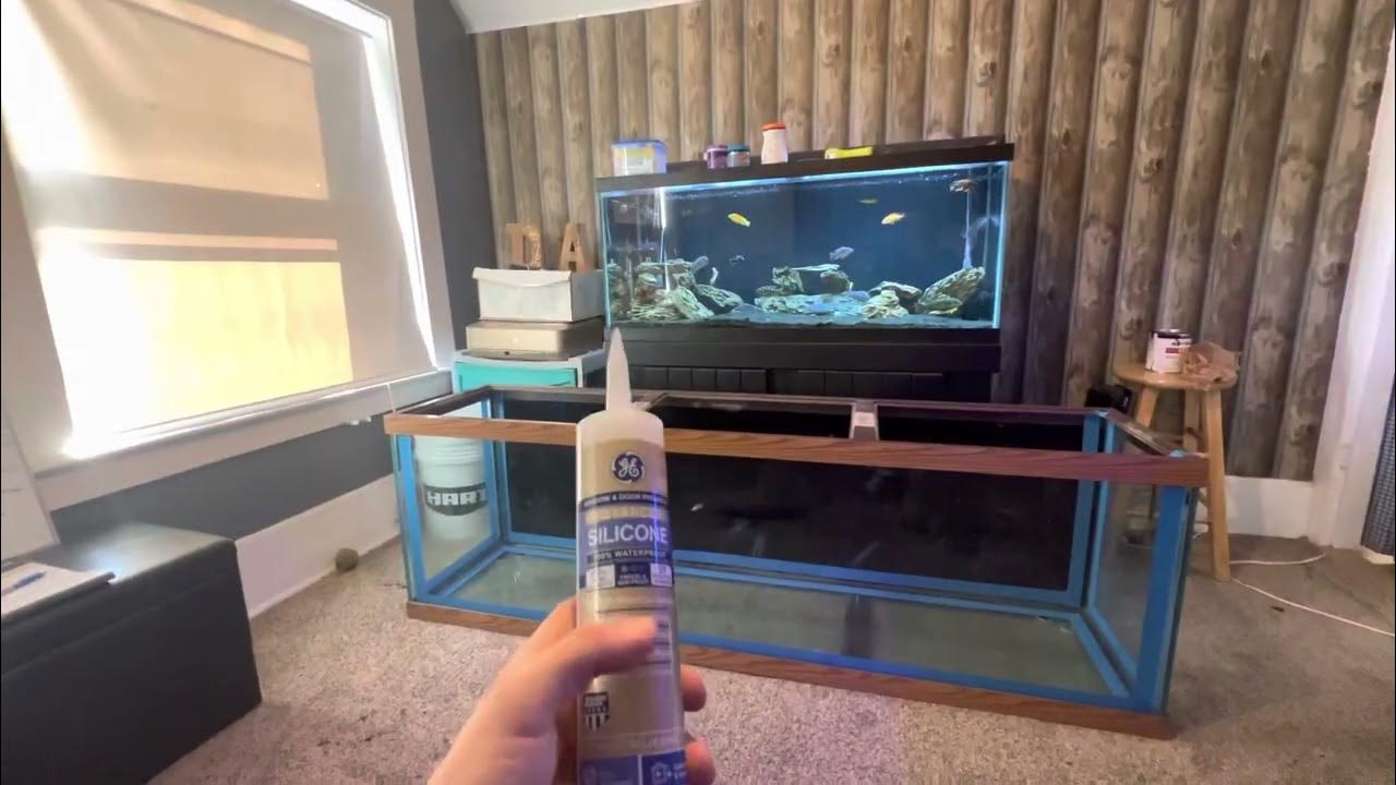 How to reseal a fish tank and intro to my piranha tank YouTube