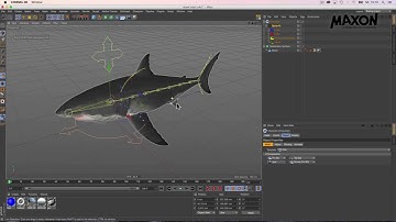 Webinar Character Animation In Cinema 4D