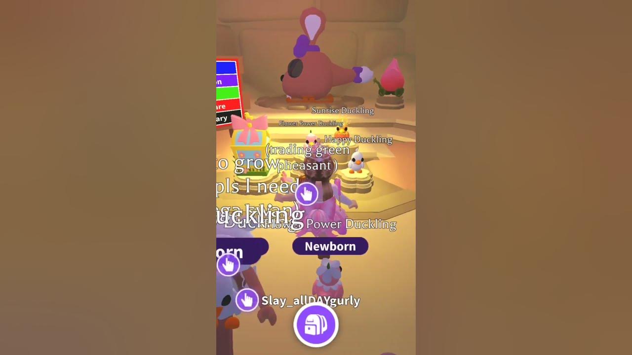 Adopt Me Hatching the Legendary Sunrise Duckling From The New Duckling