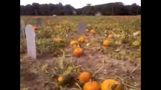 Cheesequake Farms Cemetary