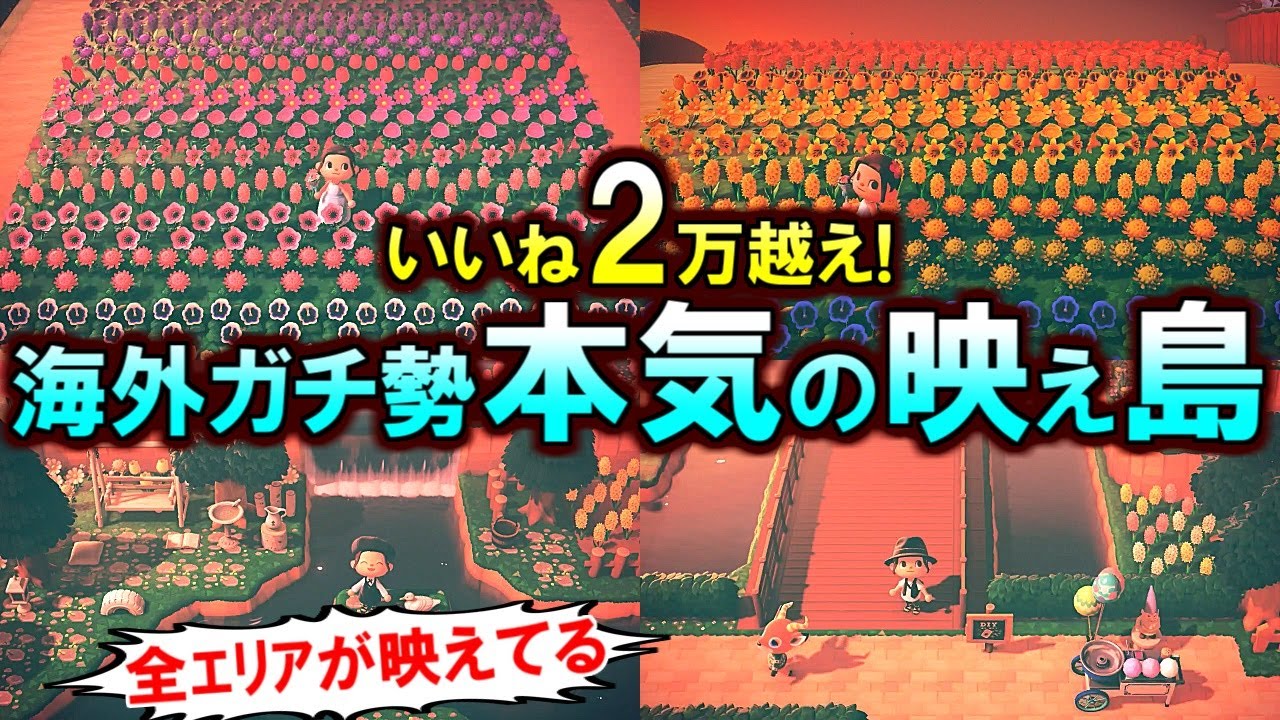 あつ森 島の3割を占める いいね2万越え の花畑に感動 海外ガチ勢が本気を出した 映え島 の風景がとても綺麗だった あつまれどうぶつの森 島訪問 Youtube