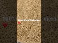 Fresh 100 White Teff InjeraЁЯШН Fresh 100 White Teff InjeraЁЯШН