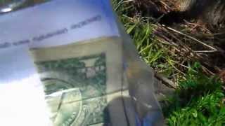 Geo-Cache called "Green Weed"
