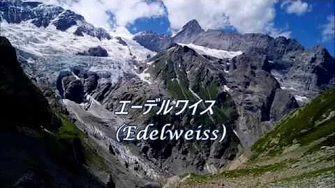 エーデルワイス Mp3
