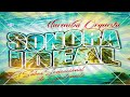 Capture de la vidéo Concierto Sonora Ideal 2021
