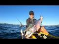 The Spotties Are Back In Town! Offshore Kayak Fishing Gold Coast, Australia