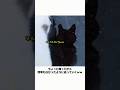 外に出られて大はしゃぎの猫