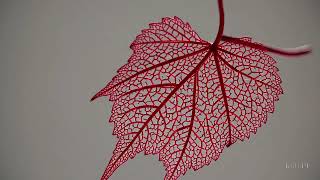 [AI] Scarlet Leaf Intricacy – Nature’s Fiery Veins
