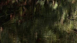 Troubled Water - Trailer