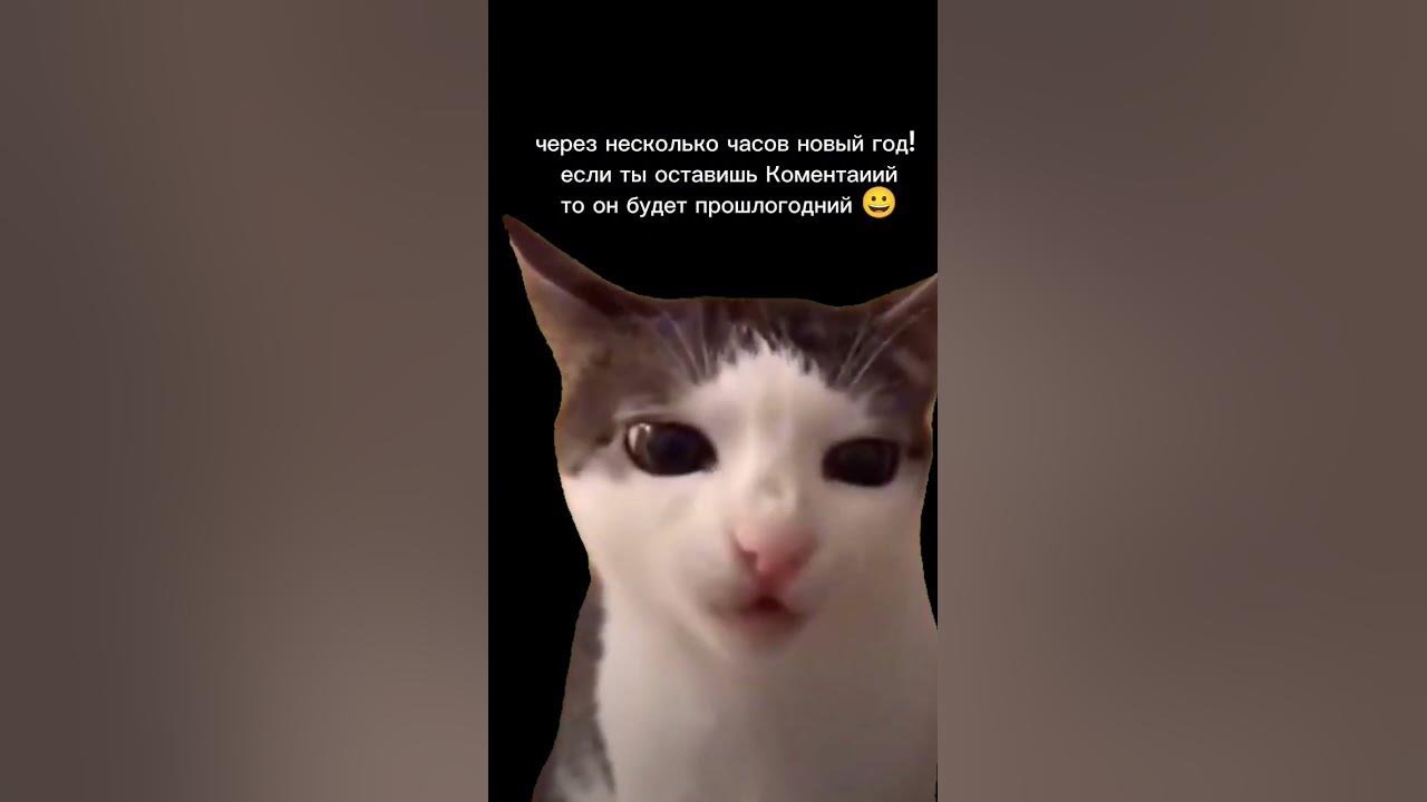 прошу не хейтить я просто хочу быть популярным (я мемы иногда ...